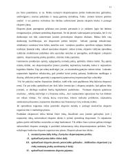 Eksporto valdymas 12 puslapis