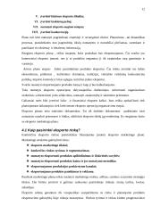 Eksporto valdymas 13 puslapis