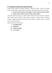 Eksporto valdymas 17 puslapis