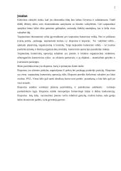 Eksporto valdymas 3 puslapis