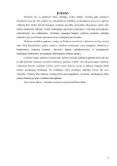 Ekstremali situacija 2 puslapis