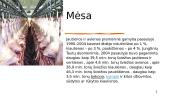 Mėsos pramonė 2 puslapis