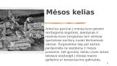 Mėsos pramonė 8 puslapis