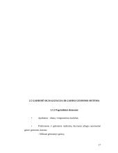 Elektrinis traukinys 16 puslapis