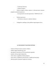 Elektrinis traukinys 17 puslapis