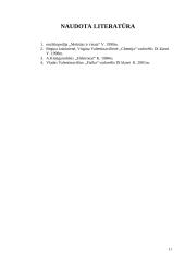 Elektronas – elementarioji dalelė 10 puslapis