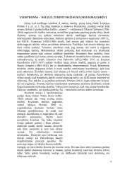 Elektronas – elementarioji dalelė 3 puslapis