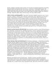 Atminties tema literatūroje 2 puslapis
