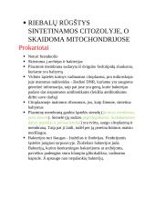 Ląstelės, audiniai, ląstelių struktūra ir funkcijos 2 puslapis