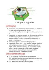 Ląstelės, audiniai, ląstelių struktūra ir funkcijos 5 puslapis