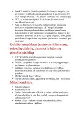 Ląstelės, audiniai, ląstelių struktūra ir funkcijos 6 puslapis