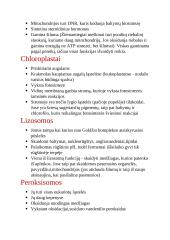 Ląstelės, audiniai, ląstelių struktūra ir funkcijos 7 puslapis