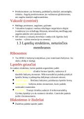 Ląstelės, audiniai, ląstelių struktūra ir funkcijos 8 puslapis
