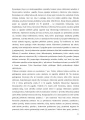 Elektronikos vystymosi istorija 11 puslapis