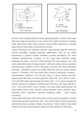 Elektronikos vystymosi istorija 10 puslapis