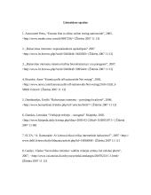 Elektroninė demokratija Lietuvoje. Ar Lietuvai reikalingas balsavimas internetu? 11 puslapis