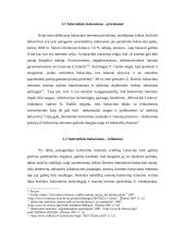 Elektroninė demokratija Lietuvoje. Ar Lietuvai reikalingas balsavimas internetu? 6 puslapis
