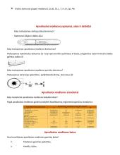 Dendrometrijos konspektas 5 puslapis