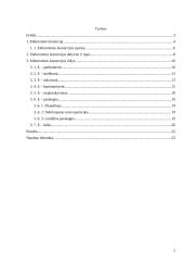 Elektroninės komercijos samprata 2 puslapis