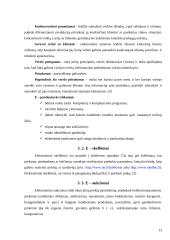 Elektroninės komercijos samprata 13 puslapis