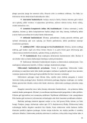 Elektroninės komercijos samprata 16 puslapis