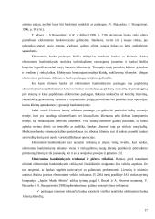 Elektroninės komercijos samprata 17 puslapis