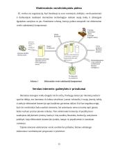 Elektroninės verslininkystės plėtra 12 puslapis