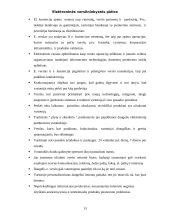 Elektroninės verslininkystės plėtra 13 puslapis