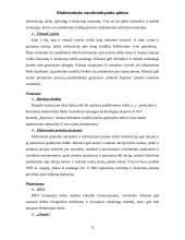 Elektroninės verslininkystės plėtra 15 puslapis