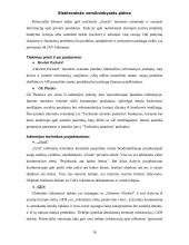 Elektroninės verslininkystės plėtra 16 puslapis