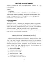 Elektroninės verslininkystės plėtra 17 puslapis