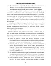 Elektroninės verslininkystės plėtra 20 puslapis