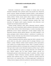 Elektroninės verslininkystės plėtra 3 puslapis