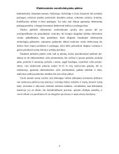 Elektroninės verslininkystės plėtra 4 puslapis