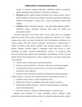 Elektroninės verslininkystės plėtra 8 puslapis