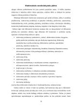 Elektroninės verslininkystės plėtra 10 puslapis