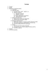 Elektroninių paslaugų plėtra 2 puslapis