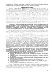 Elektroninių paslaugų plėtra 11 puslapis