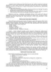 Elektroninių paslaugų plėtra 12 puslapis