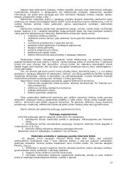 Elektroninių paslaugų plėtra 13 puslapis