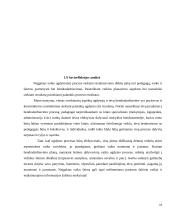 Ugdytojų ir šeimos bendradarbiavimas negalios situacijoje 13 puslapis