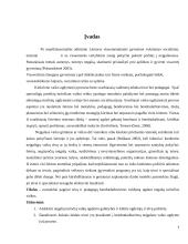 Ugdytojų ir šeimos bendradarbiavimas negalios situacijoje 2 puslapis