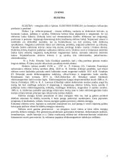Elektros energija 2 puslapis