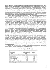 Elektros energija 4 puslapis