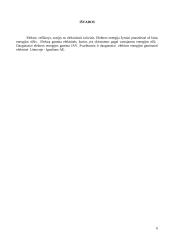 Elektros energija 6 puslapis