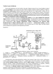 Elektros energijos gamyba 3 puslapis