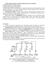 Elektros energijos gamyba 4 puslapis