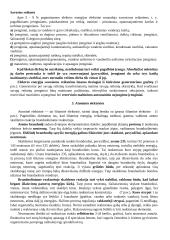 Elektros energijos gamyba 5 puslapis