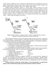 Elektros energijos gamyba 10 puslapis