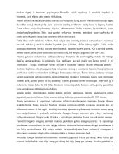 Eliminacija 4 puslapis